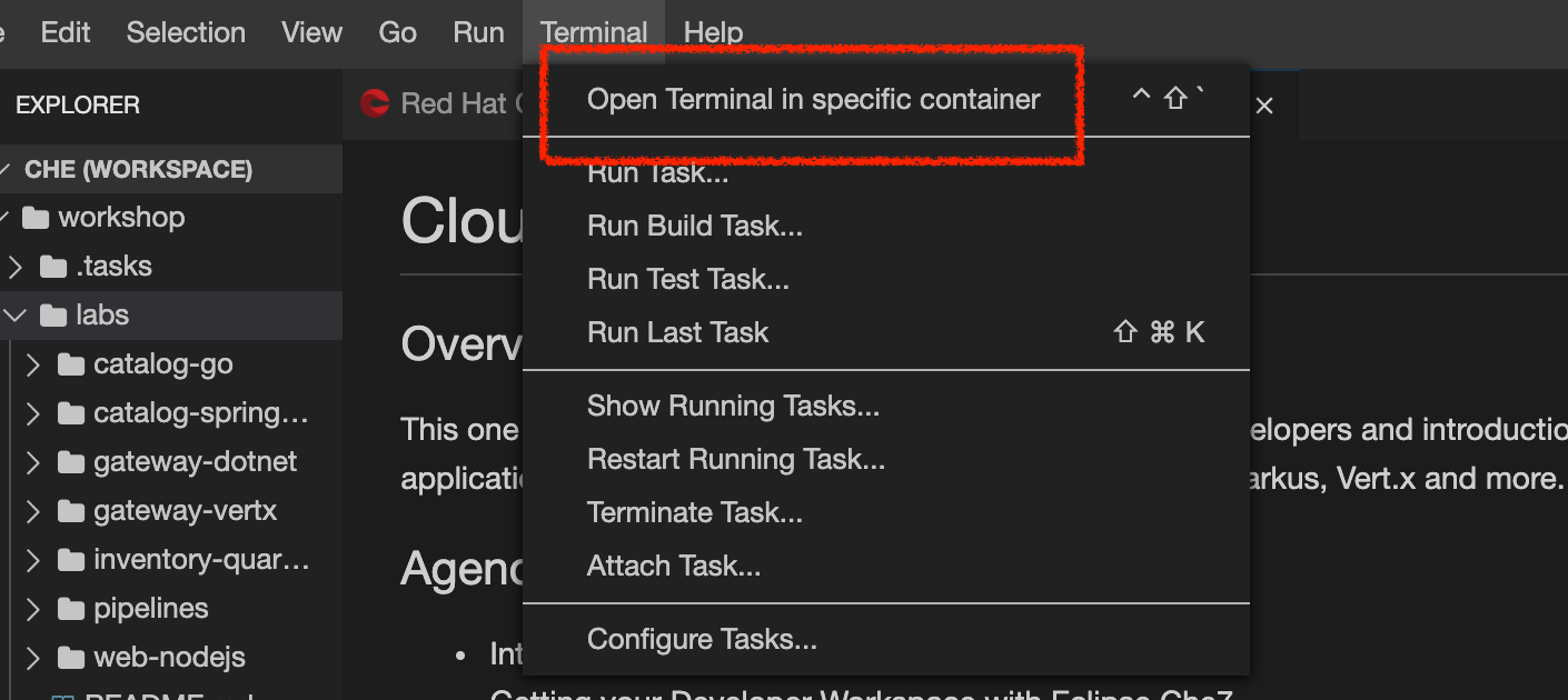 Che - RunTask