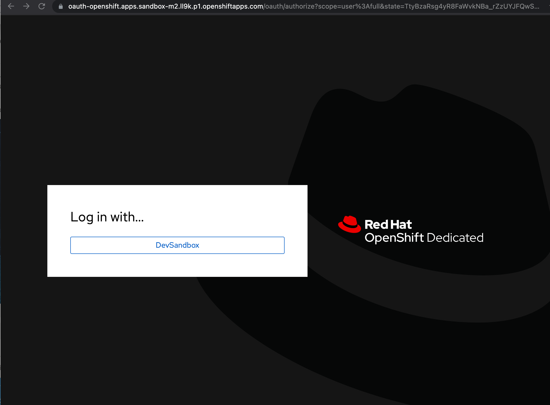 Developer Sandbox